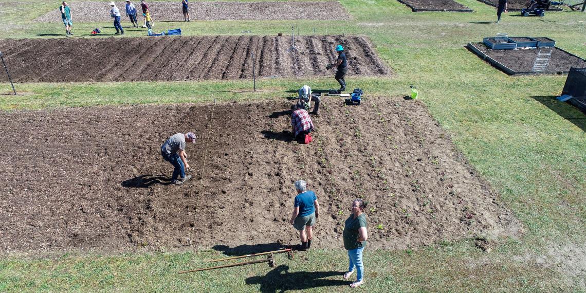 Overhead view of the Alexandra community garden