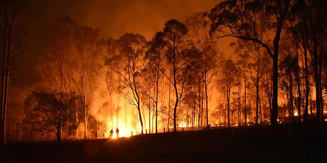 Bush fire