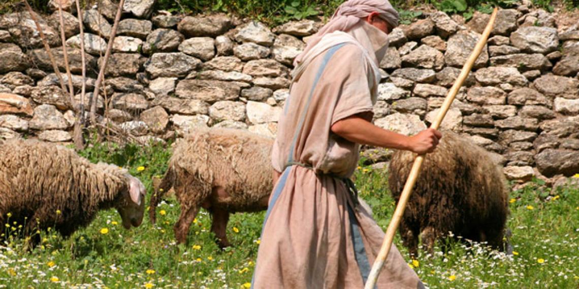a shepherd and his sheep